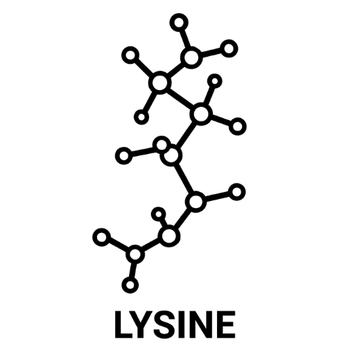 Lysine